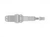 火花塞 Spark Plug:12 14 003