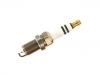 火花塞 Spark Plug:06E 905 611